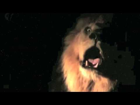 Atletico Belvedere c/5