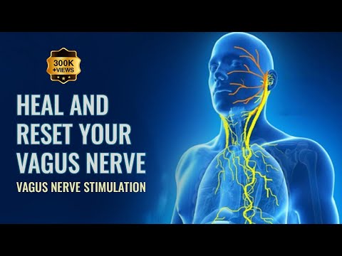 Vagus Nerve  Reset To Release Trauma Stored In The Body | Parasympathetic Nervous system Stimulation