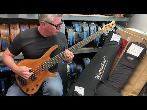 Roscoe Century Standard Plus 5M Fretless 2015 image 8