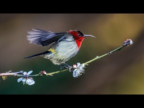 The Power of a Pause | Motivational story | Life lesson