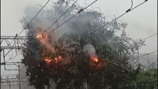 Heavy Rain in Mumbai, a tree fall on railway line high tension wire and fire broken out