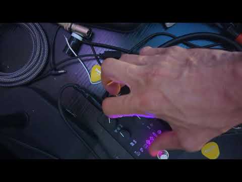 Discordance Electric brattle TD-X Brat image 5