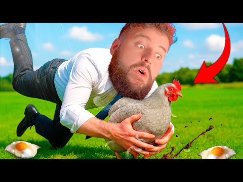 I'M A CHICKEN! 🐔😂