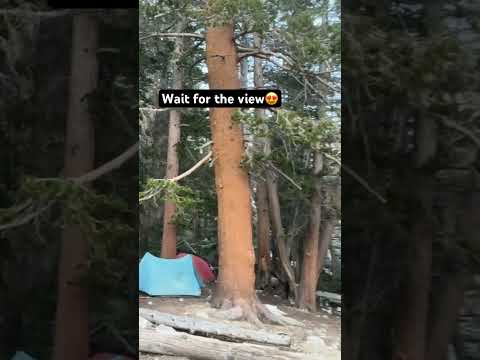 Those camp views though 😍