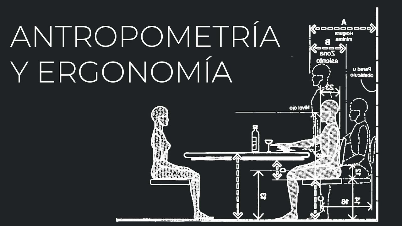 ¿Qué es la ergonomía y la antropometría? – ES General
