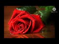 Kadhalar Dhinam BGM