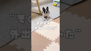 【検証】そのまま外出してみた！