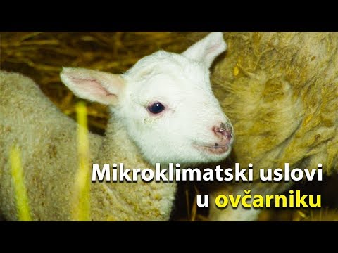Mikroklimatski uslovi u ovčarniku