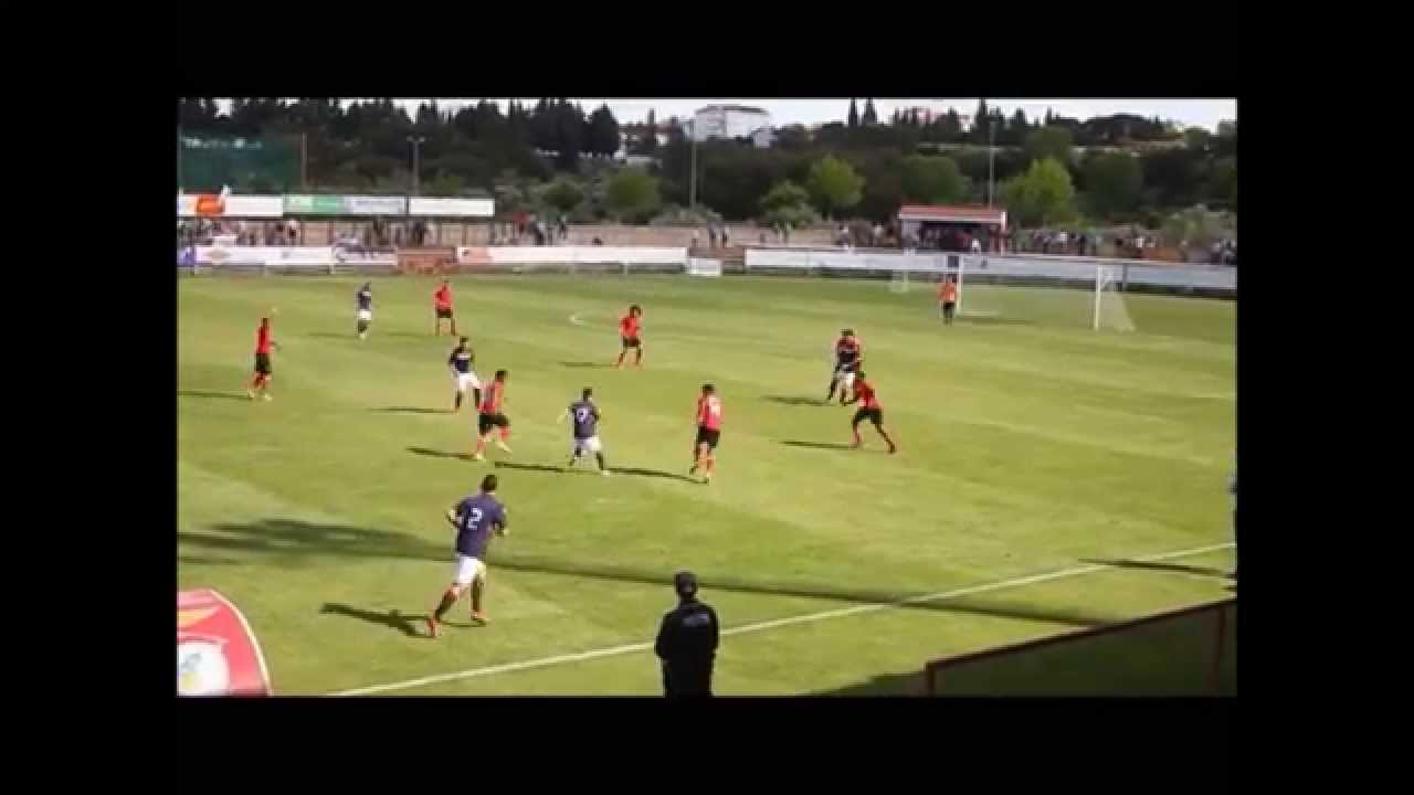 Telmo Gonçalves 2014/2015