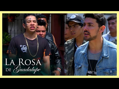 Ernesto cree que dejó en coma a ‘El Moncho’ tras pelea | La Rosa de Guadalupe 4/4 | El amor no...