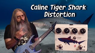 Caline Tiger Shark Distortion