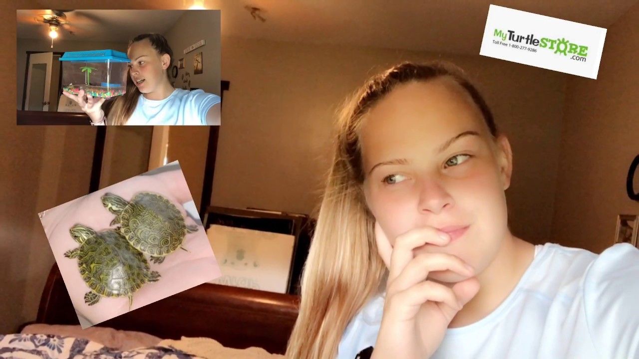 I BOUGHT TURTLES ONLINE// My Turtle Store.com