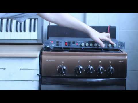 Lell RC+ | Ultrarare Post USSR Delay/Reverb Rack Processor image 7