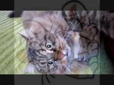 Výstava Pavla Kantorka - tisk výstavy