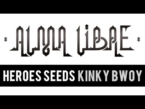 Kinky Bwoy - Heroes Seeds ft. Galibo Band