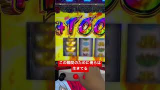 脳汁ドライブ #ハラキリドライブ #ヴァルブレイブ