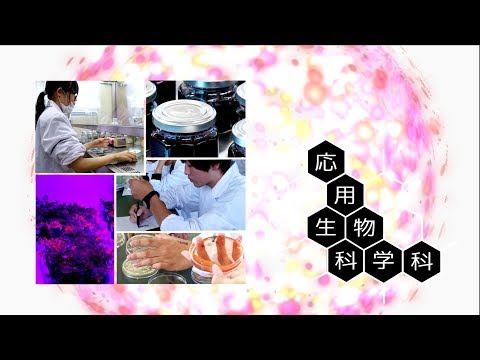 190031　宮崎大学農学部紹介　応用生物科学科〈2019年8月改訂〉