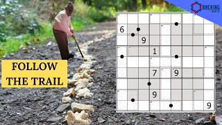 Follow the Sudoku Trail