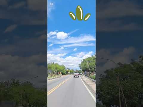 Visitamos el bañado de soto 🏍