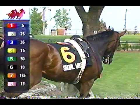 2003 Breeders Stakes - (Full Sportsnet Coverage)