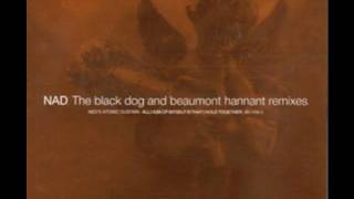 NED&#39;S ATOMIC DUSTBIN - ALL THAT I ASK OF.. (NO ANSWER MIX)