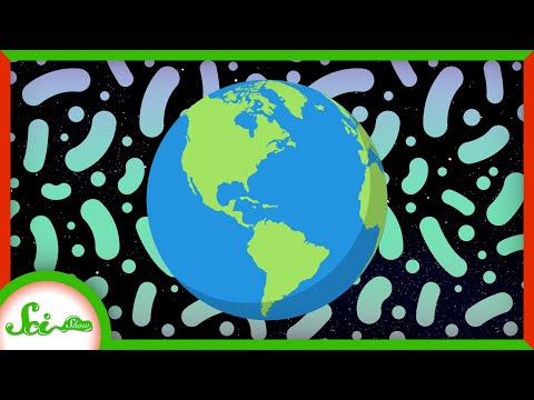 为什么细菌不超过地球（Why Bacteria Don't Outweigh the Earth）