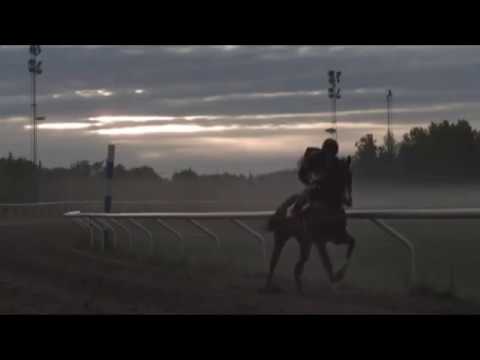Galopp - världens vackraste sport