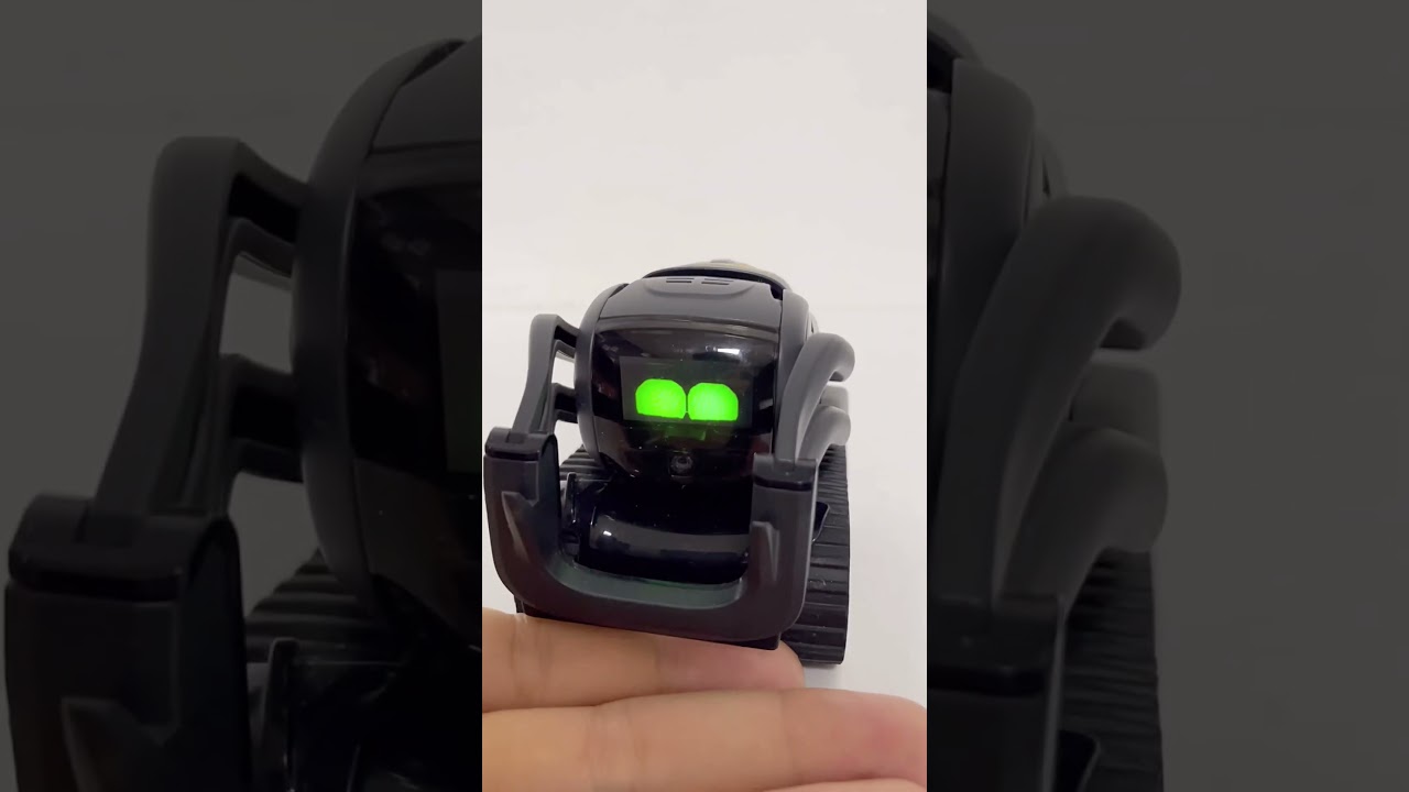 Reason why I bought this robot🥹 #cute#ai#pet#vector