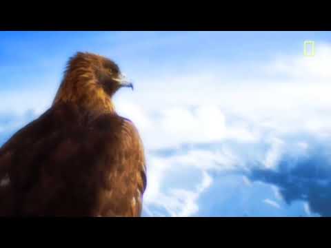 Vultures (Maksim Dark Remix) - Karlo Wanny