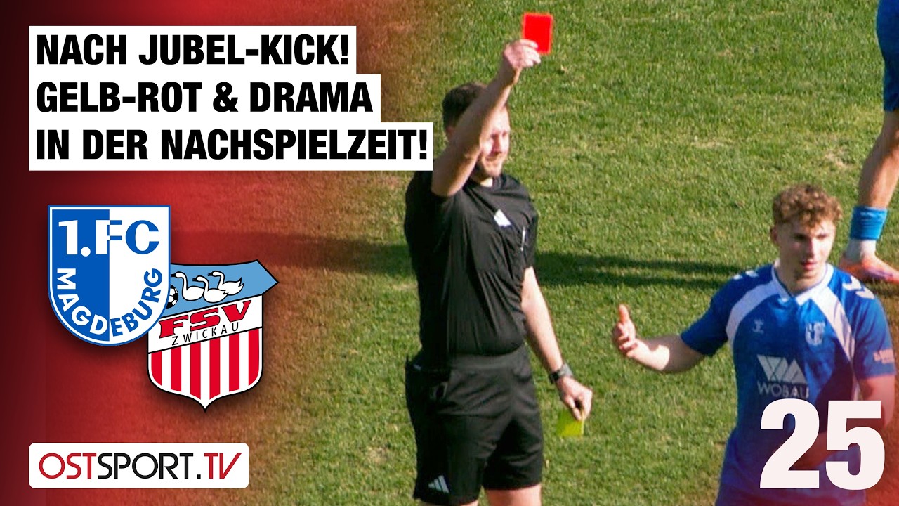 1.  Magdeburg II vs FSV Zwickau Highlights