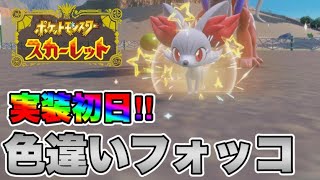 色違いのフォッコを出して発狂する男　【ポケモンSV】