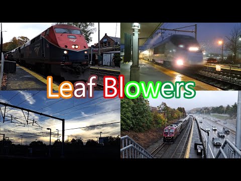 Leaf Blowers: Eastern New England Express Train Variety (Autumn 2022)