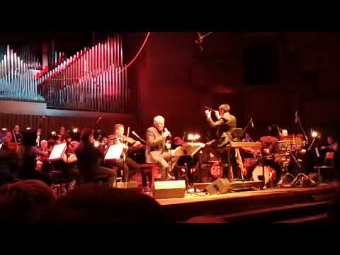 Zoran Predin i Zagrebačka filharmonija: ČEKAJ ME (LIVE @ Lisinski, Zagreb)