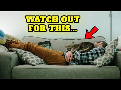 The truth about why does your cat sleeps with you has been revealed