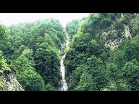 UĞUR YAZICI - KARA ÜZÜM SALKUMİ