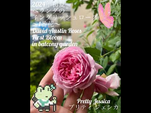 晴れた日が戻ってくるようにバルコニーとテラスをアレンジしましょう  庭園