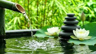 Hidden Mountain Retreat 🎋 Bamboo Water Fountain, Crystal Clear Water S