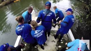 preview picture of video 'SeaWorld Rescues Two Manatee in Alabama'