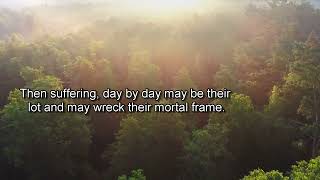 Peace For The Troubled Heart  Ch5Pt2