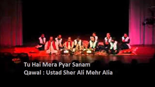 Tu Hai Mera Pyar Sanam by Ustad Sher Ali and Mehr 