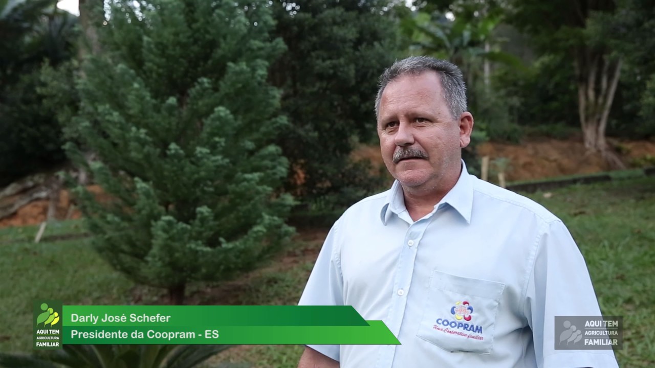 Pnae: da propriedade à escola