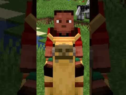 Types Of Survival Players In Minecraft