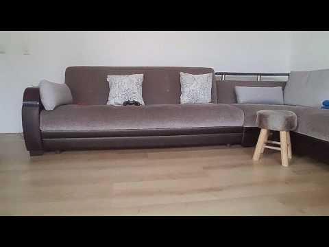 Trainer Tjasé van ZuidOost United