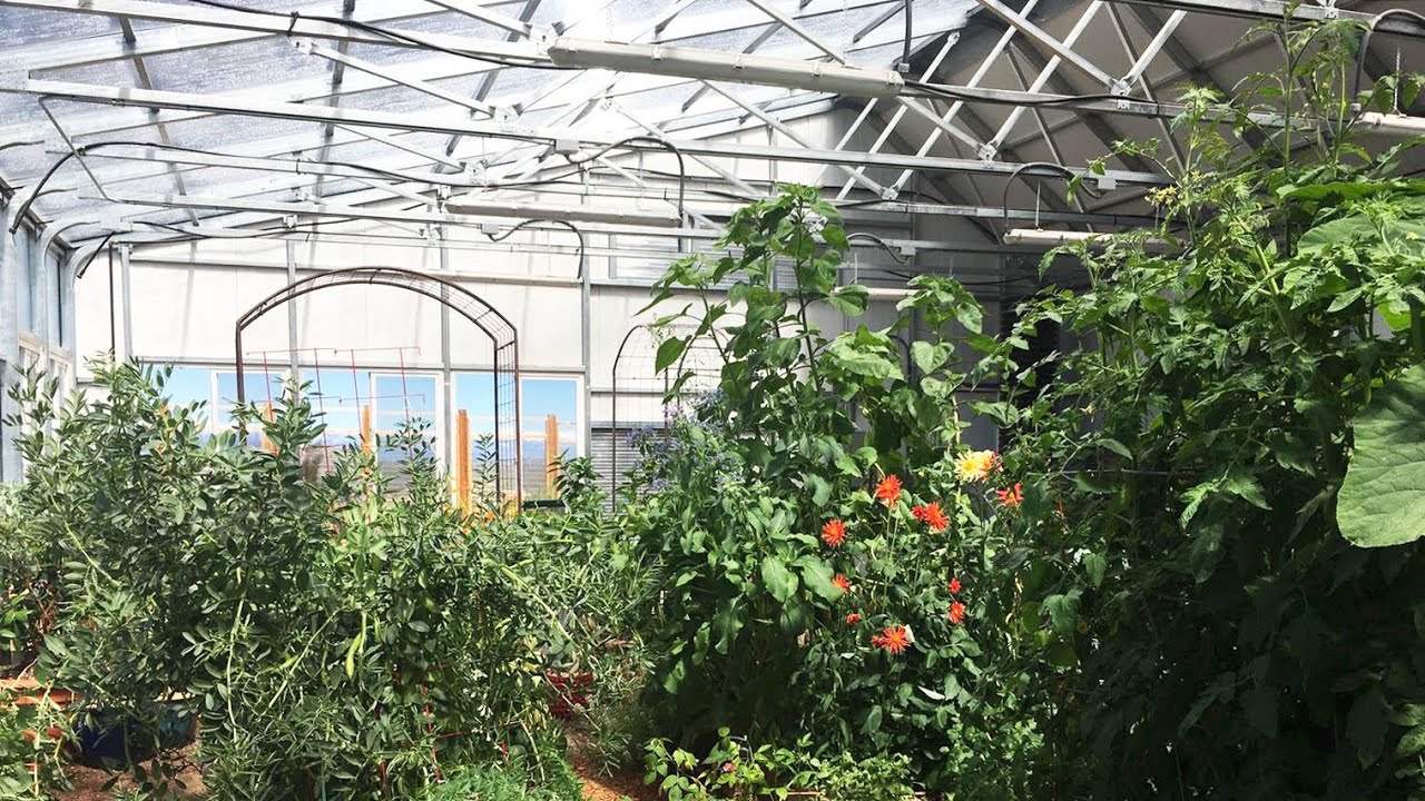 Grow Ceres: Vegetable Planting Schedule in a Year-Round Greenhouse