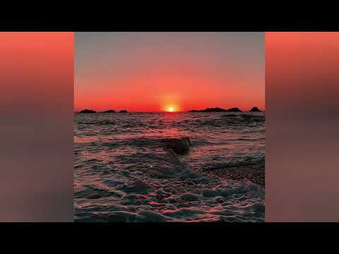 Franklin, Digital Farm Animals, Sorana - Drowning