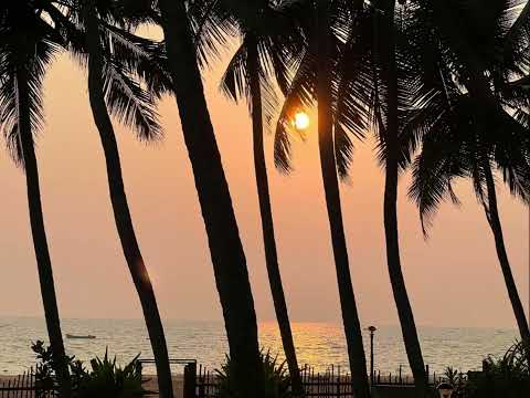 Vincent Chiang's Wild Palms on Sea Health Spa Beach Photos, Kerala, India, March 2023