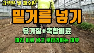고추밭 채소밭 밑거름 넣고 로터리치기 비료넣는방법 고추농사