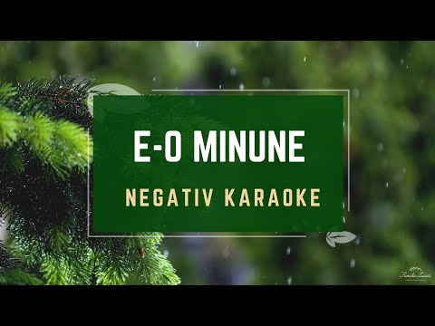 E-o minune | Negativ Karaoke  | Familia Lucaci