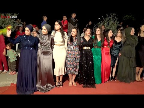 Böyle Bir Halay Yok !!! Oyuncular Süper Oynuyor - Cida Govend - Tofan Erdal