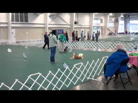 口吃弟弟最無聊演出(原發表者:gowell)(影片)